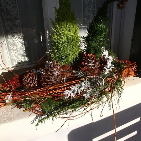 Bed & Breakfast Don Carlos San Martino di Lupari Bagian luar foto