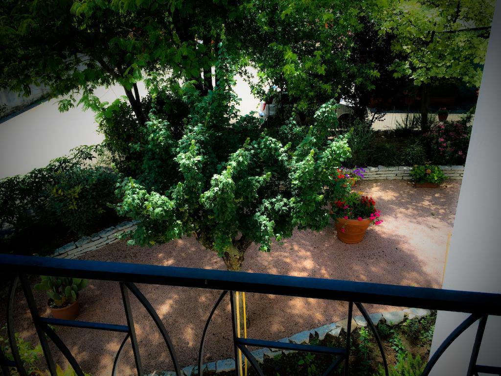 Bed & Breakfast Don Carlos San Martino di Lupari Bagian luar foto