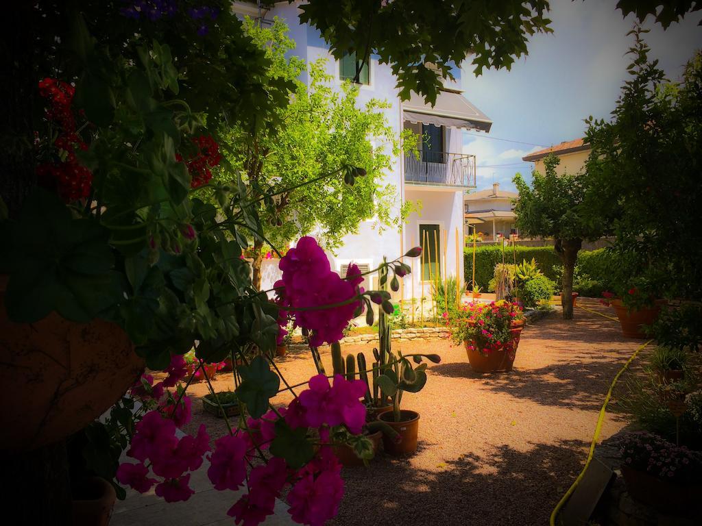 Bed & Breakfast Don Carlos San Martino di Lupari Bagian luar foto
