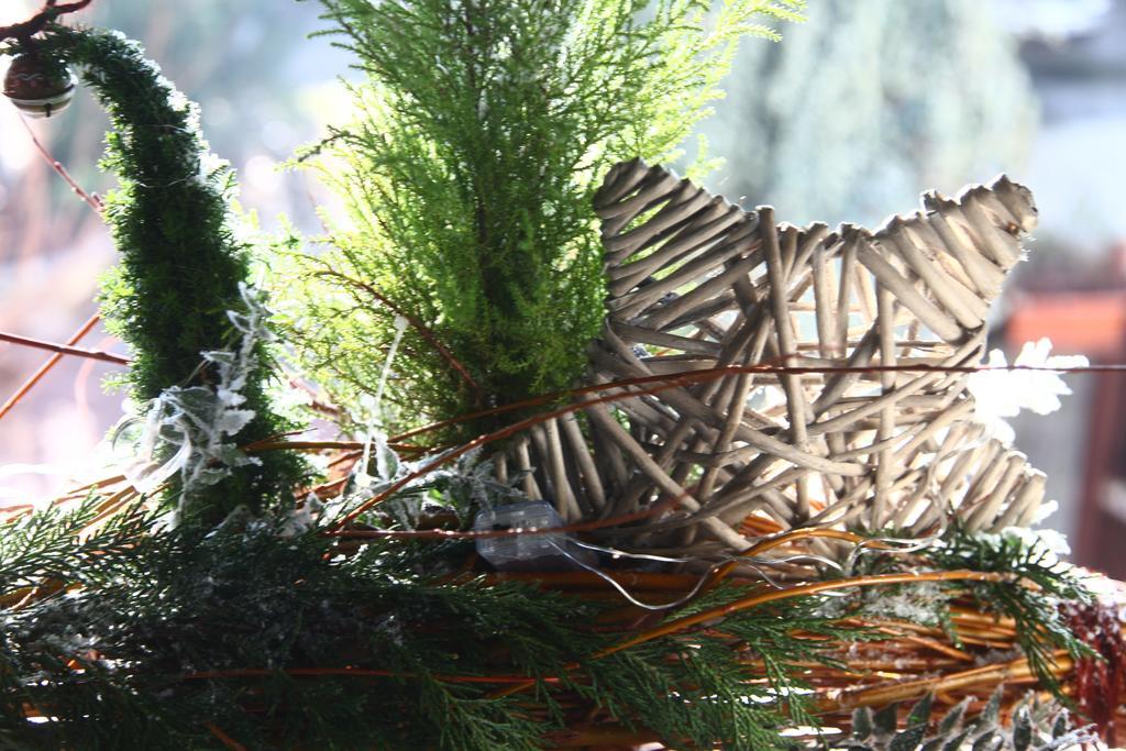 Bed & Breakfast Don Carlos San Martino di Lupari Bagian luar foto
